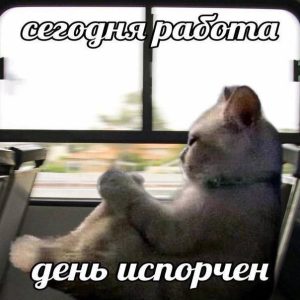 Сегодня отмечается день "бросай свою ненавистную работу"