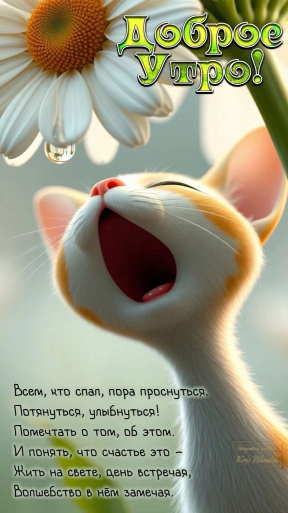 Доброе утро друзья