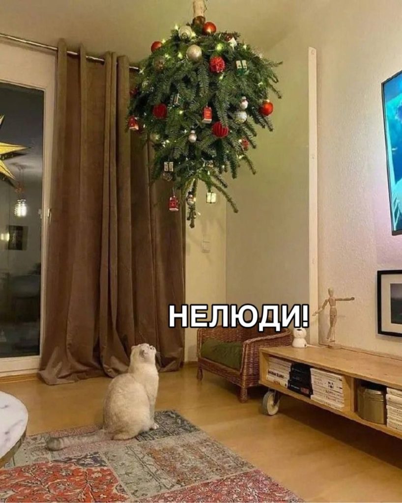 Нумерологи рассказали, когда лучше всего ставить новогоднюю ёлку