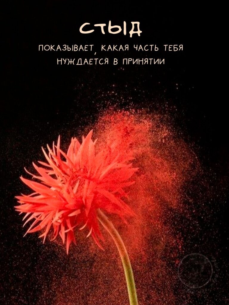 Устроим перемирие с самим собой