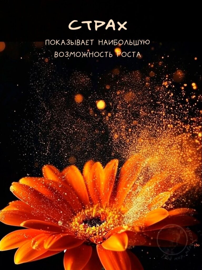 Устроим перемирие с самим собой