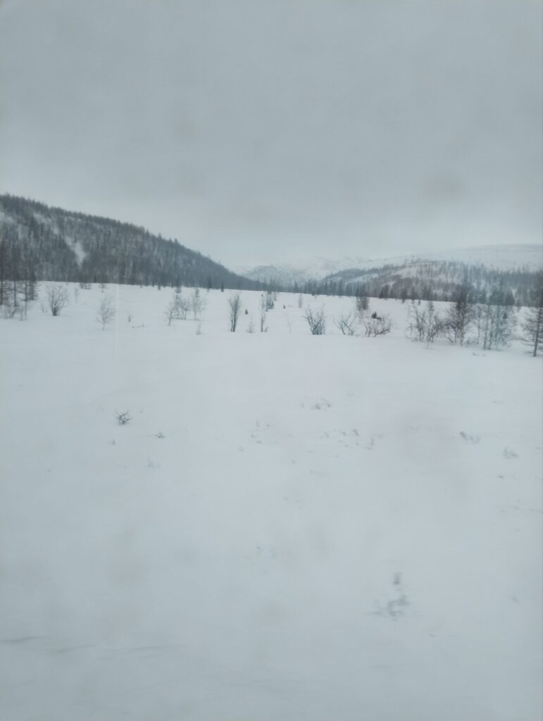 Утренние заметки путешественника