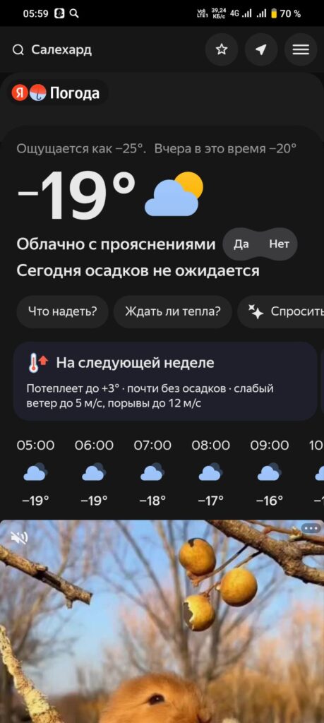 Холодный апрель и тарелка шавермы: хроники одной «кабалы»