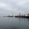 A wide-angle view of a Ukrainian seaport with empty docks, idle cargo ships anchored in calm water, industrial cranes standing still, muted gray sky, subtle reflections on water, no people, no text, no signs of activity