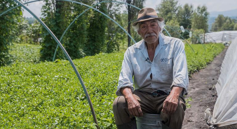 «Чинамперос» веками снабжали Мехико продуктами. Какое у них будущее?